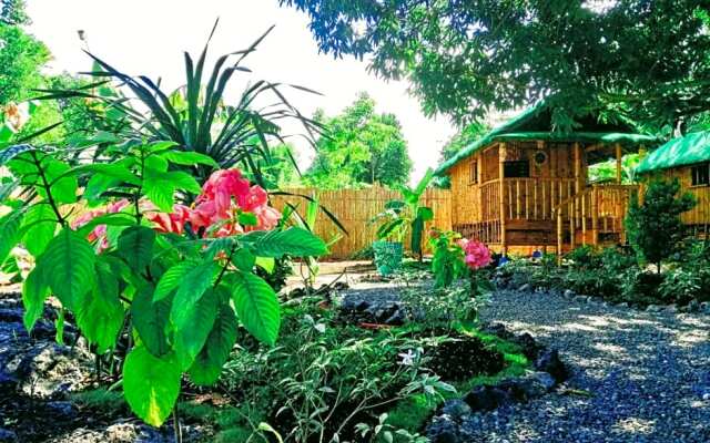 Moalboal Bamboo House / Rooms