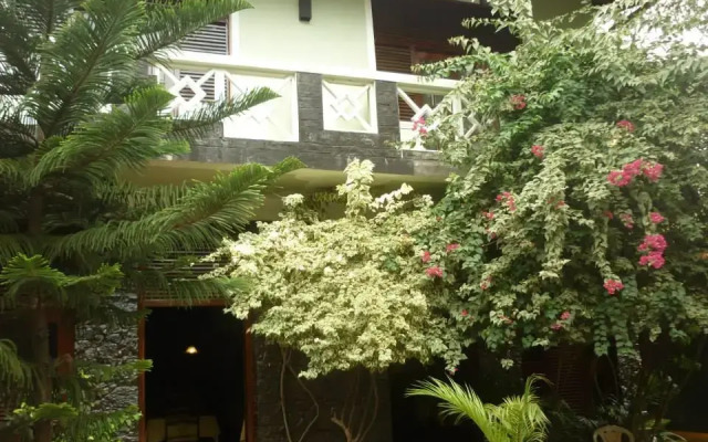 Rice of Life by Tissa Inn