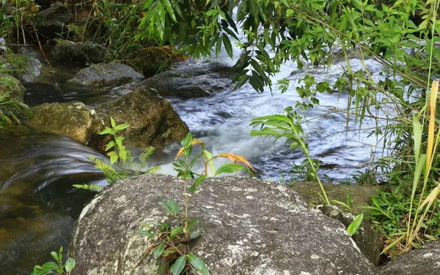 Sandalu Kithulgala