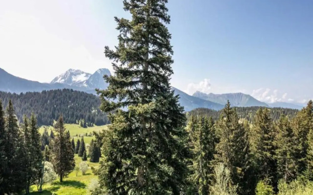 Serene Alpine Stay for 6 Guests