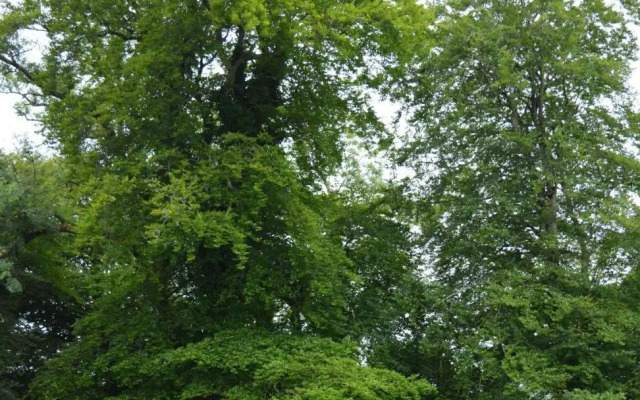 The Courtyard, Castle Dargan