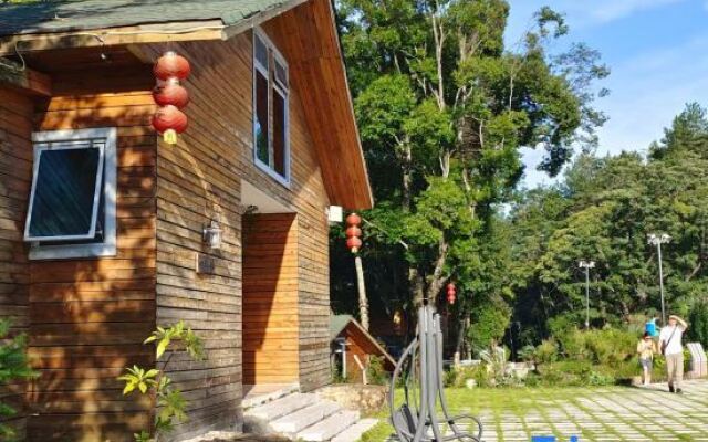 Yinxin'gu Treehouse Hotel