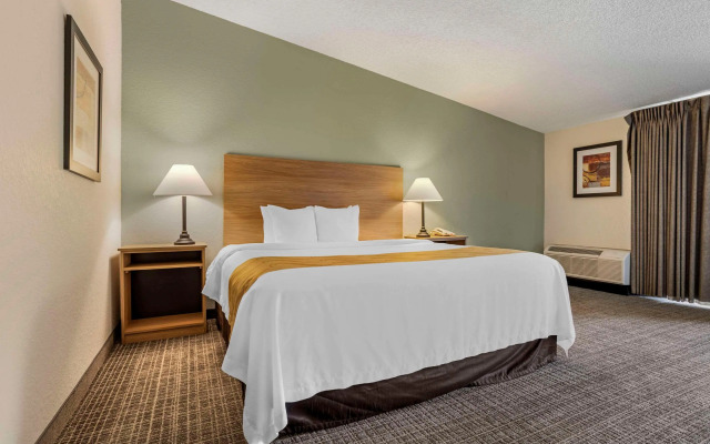 Quality Inn & Suites NRG Park - Medical Center