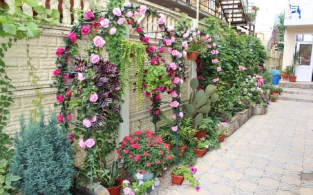 Guest House Diamant