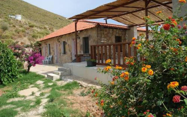Sardunya Pansiyon