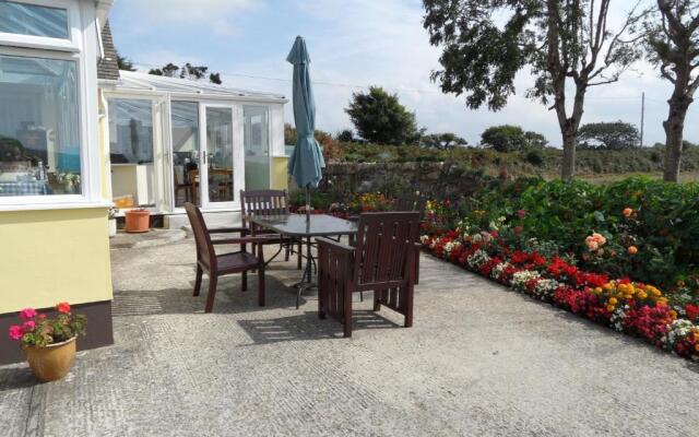 Monterey Pines