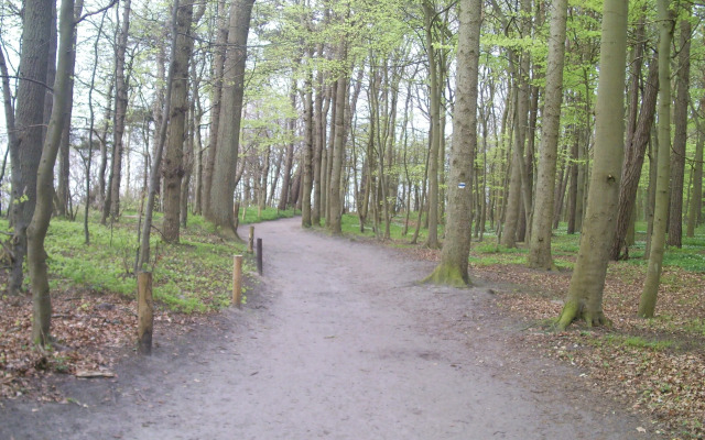 Landhotel Ostseetraum & Fewo