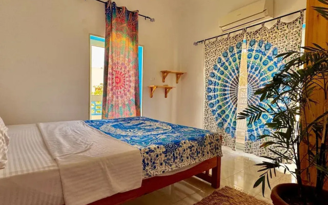 Palma Oasis Hostel