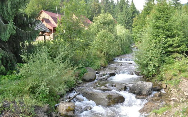 Zarinok