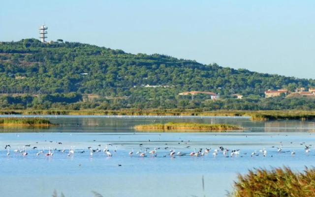 Seaside Studio in Agde