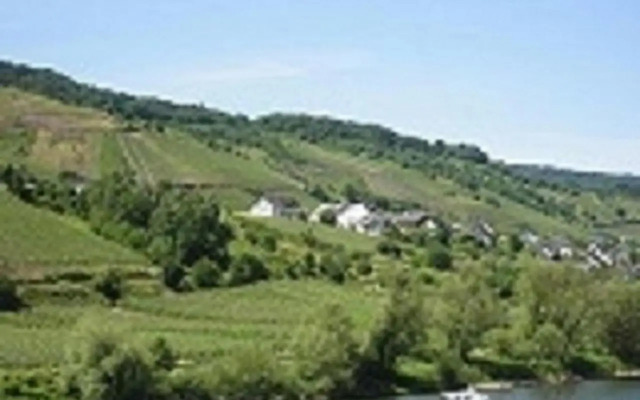 Ferienwohnung "Im Weingarten"