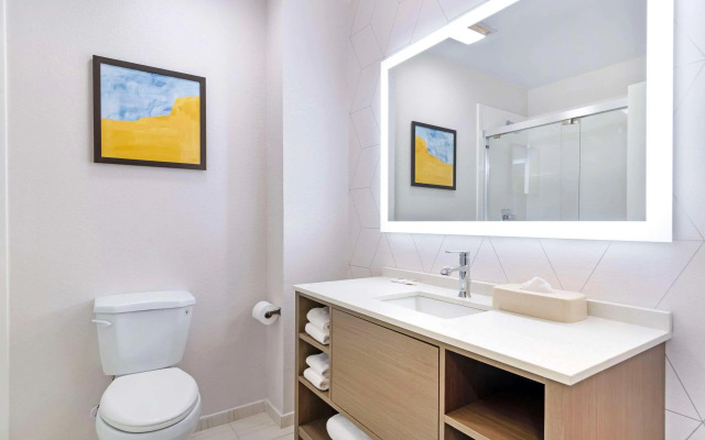 Comfort Suites Northside Hospital Gwinnett