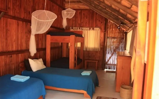 Offbeat Safaris