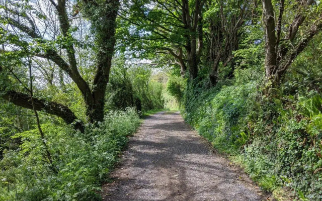No7 Glan Nodwydd
