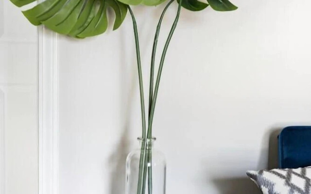 Spa-inspired Modern Oasis Near Downtown Nashville