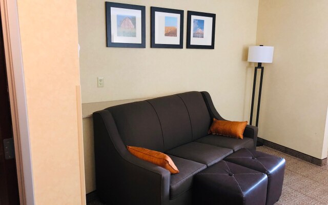 Comfort Suites South