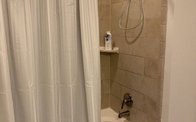 2 Two King Bed Buckhead Condo