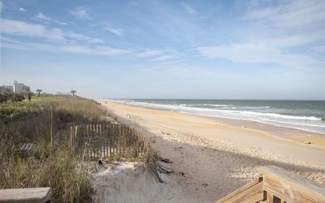 Coquina Dreams