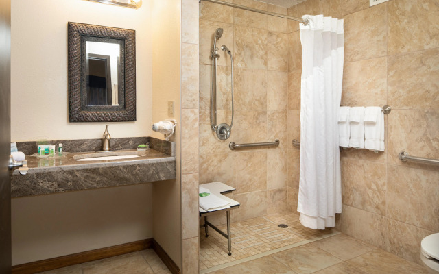 Holiday Inn Hotel & Suites Charleston West by IHG