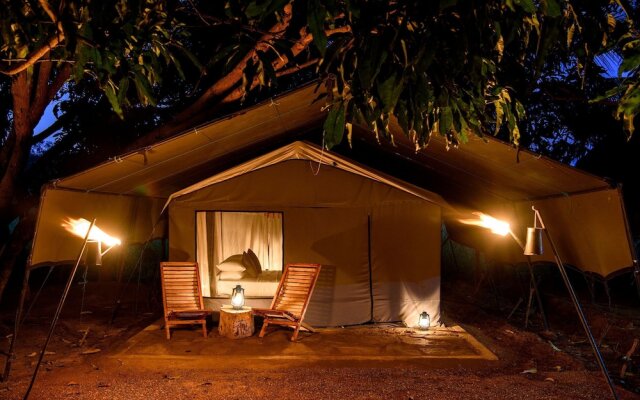 Camp Hasthi