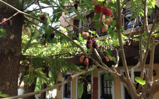 Vagia Traditional Hotel