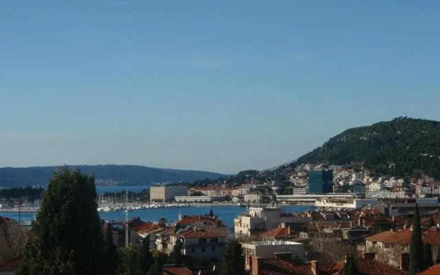 Vinko