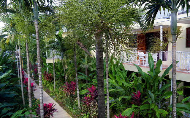 Negril Palms