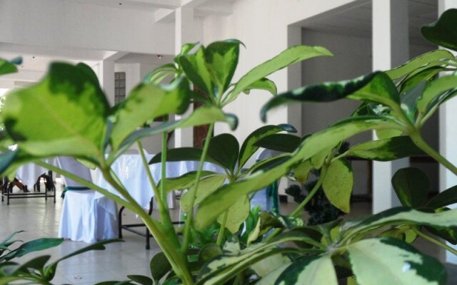 Hotel Whiteroyal
