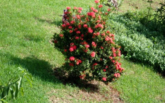 Spacieuse maison de vacances