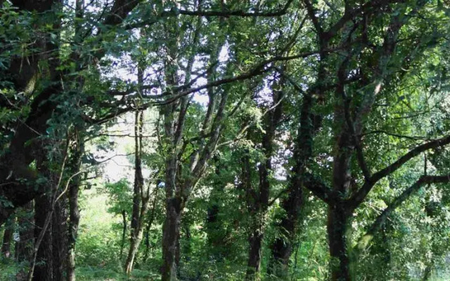 Casa Vella da Rivera