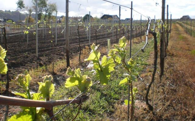 Holiday Home Weingut Mertes