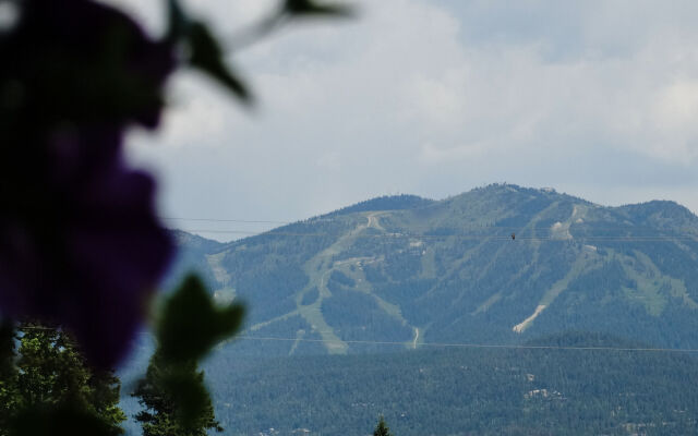 Chalet Motel Whitefish