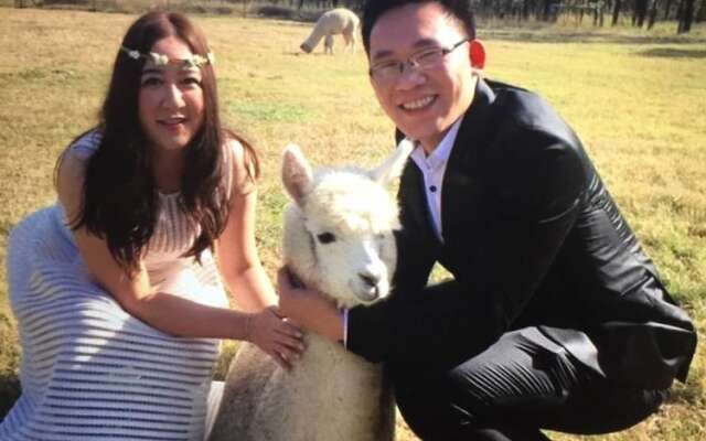 Starline Alpacas Farmstay Resort