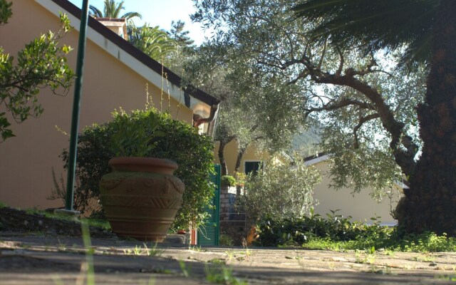 Villa Dei Limoni