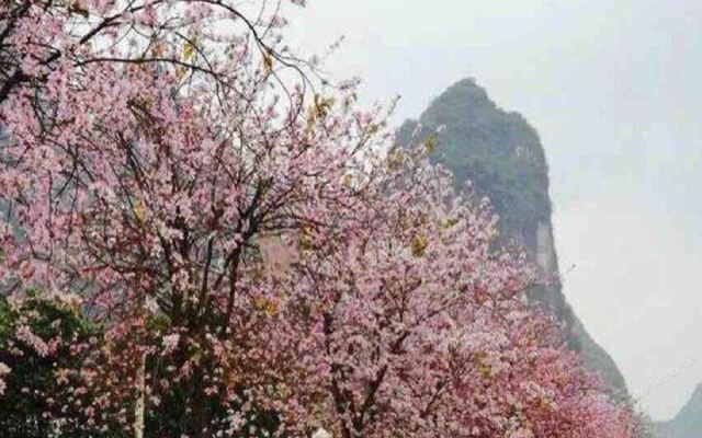 Vienna International Hotel（Guangxi Guilin Yangsuo West Street and Ten-mile Gallery）