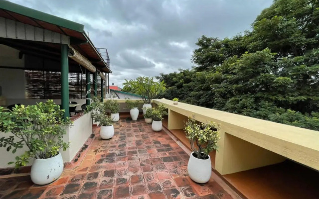 Polonest Cocoon By Morpho Domlur, Bengaluru