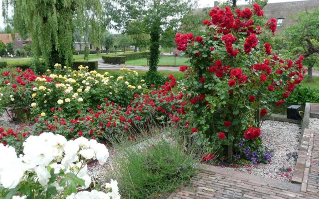 de Boomgaard Groene Hart