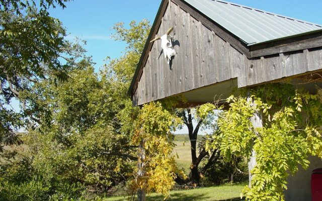 Back Forty of Fredericksburg