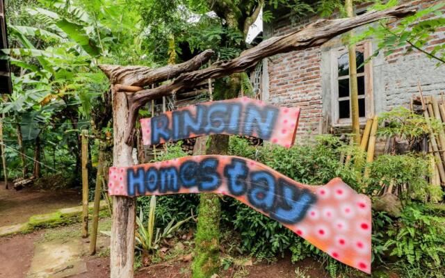 Ringin Guesthouse