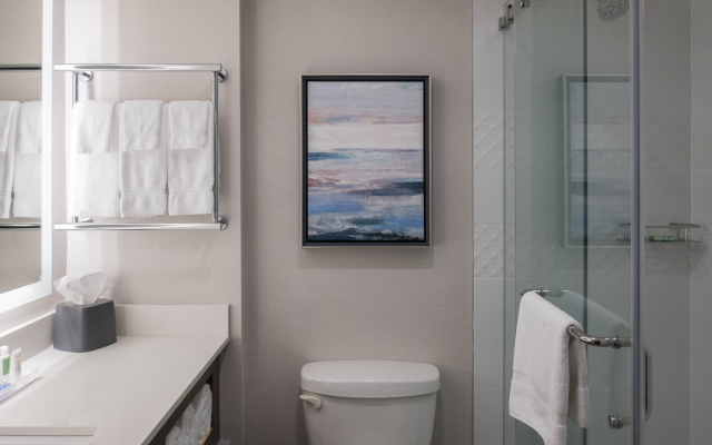 Holiday Inn & Suites Vancouver Downtown by IHG