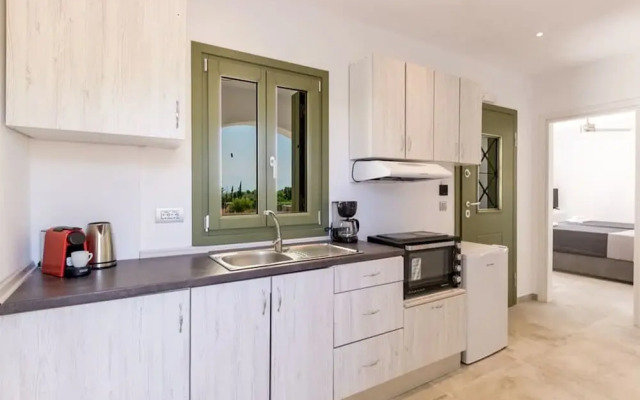 Ampelas Nostalgia Apartments - Paros Apollon Gem