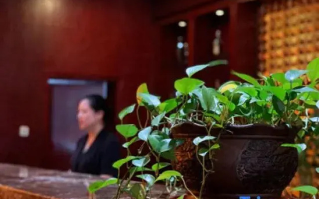 Double-Dove Peace International Hotel