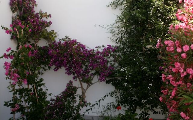 Spiros & Hiroko Hotel - Adults Only