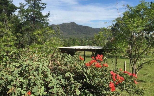 Hunterstay Holiday Accommodation