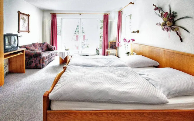 Hotel-gasthof Neumühle