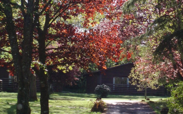 Ruthern Valley Holidays