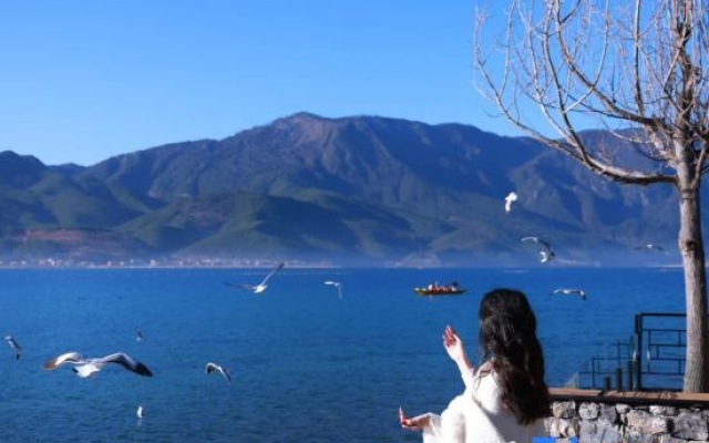 Lugu Lake Lanyu Homestay