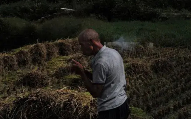 Yungu Shanfang Hostel