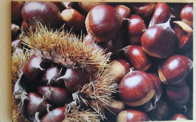 Gästehaus Moni Jäger