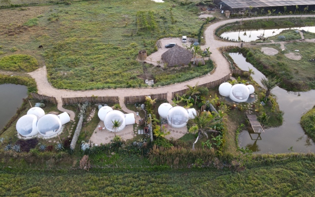 Green Land Bubble Glamping